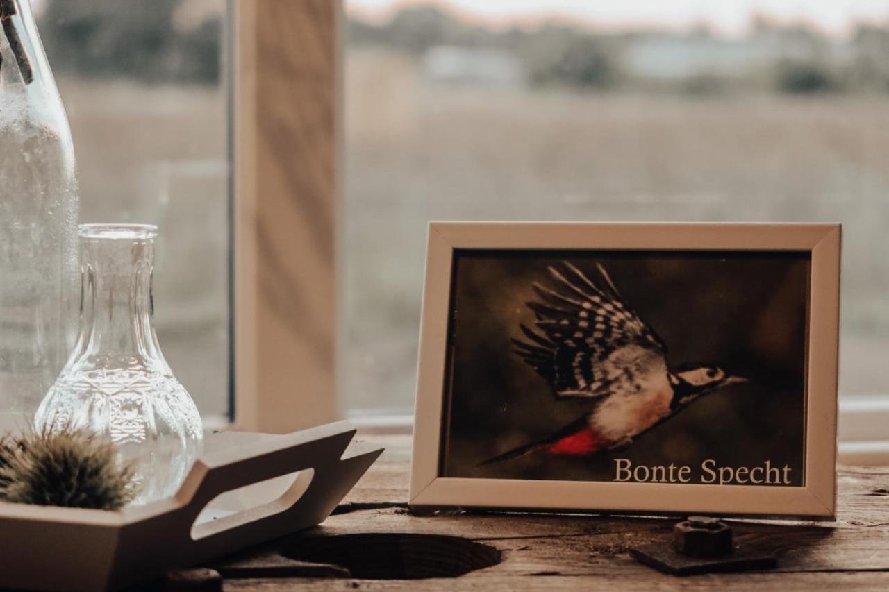 Willa Hoeve Twente - De Bonte Specht Heythuysen Zewnętrze zdjęcie